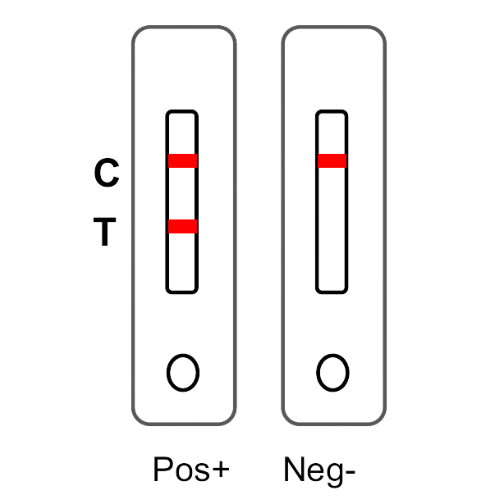 Pregnancy Test Result